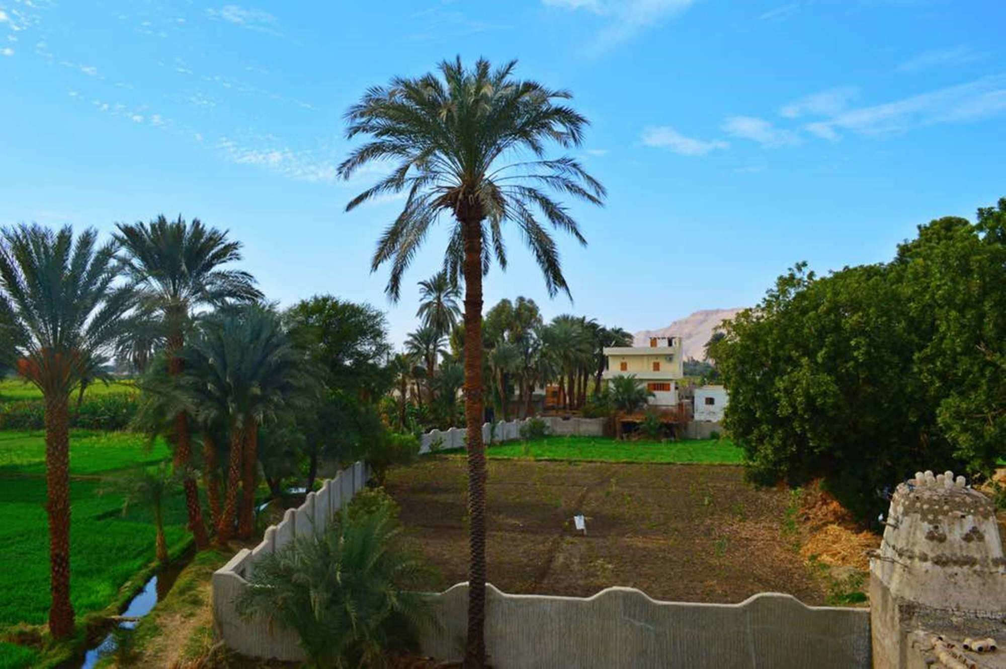 Farida Apartments Λούξορ Εξωτερικό φωτογραφία