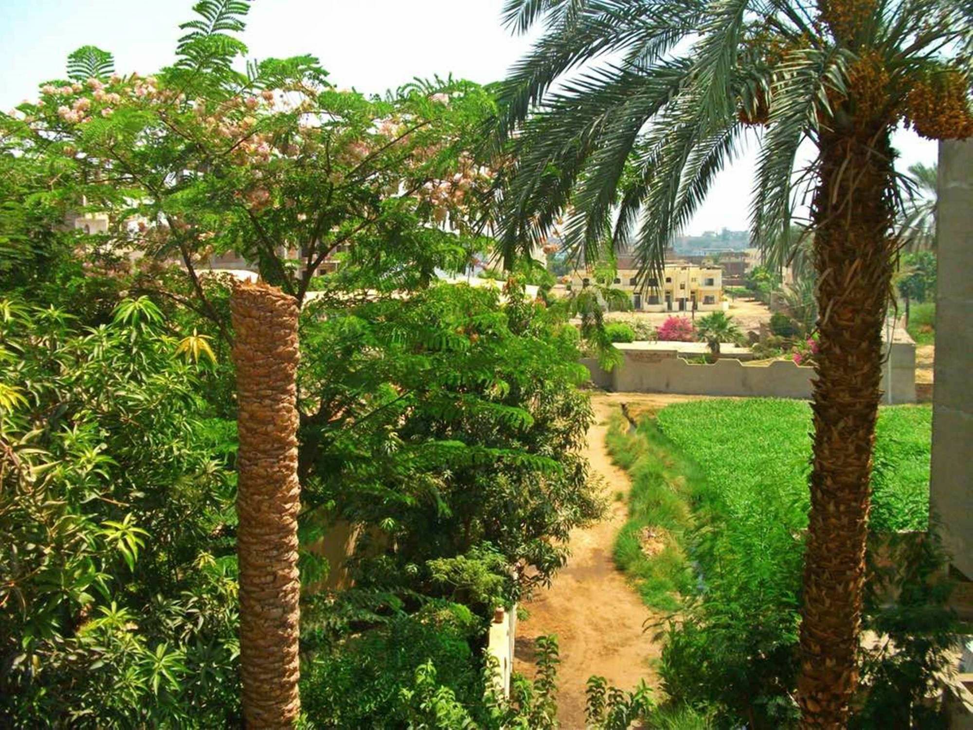 Farida Apartments Λούξορ Εξωτερικό φωτογραφία